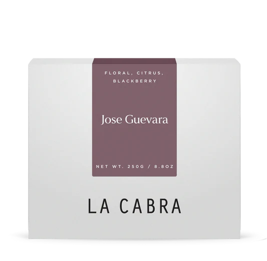 José Guevara