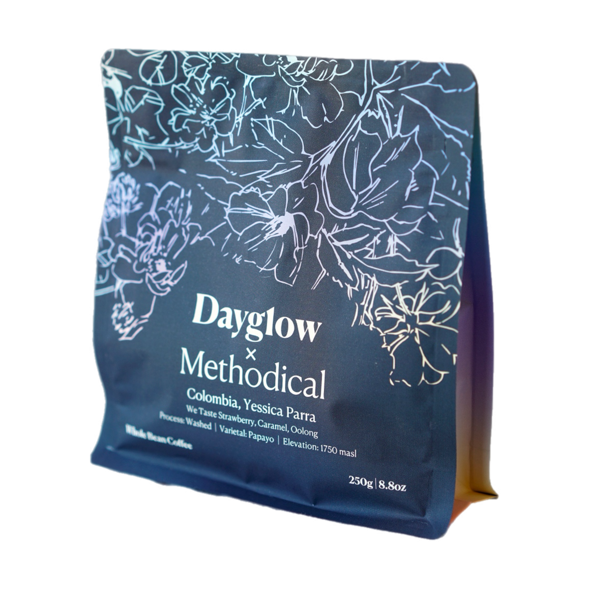 Methodical x Dayglow