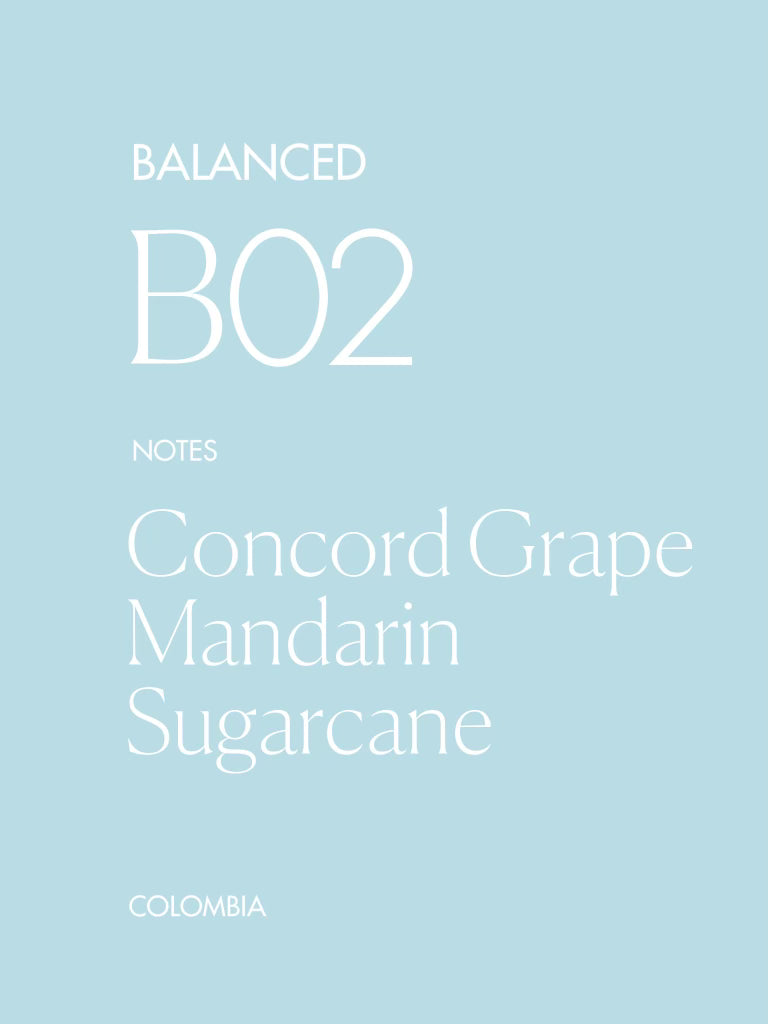 B02
