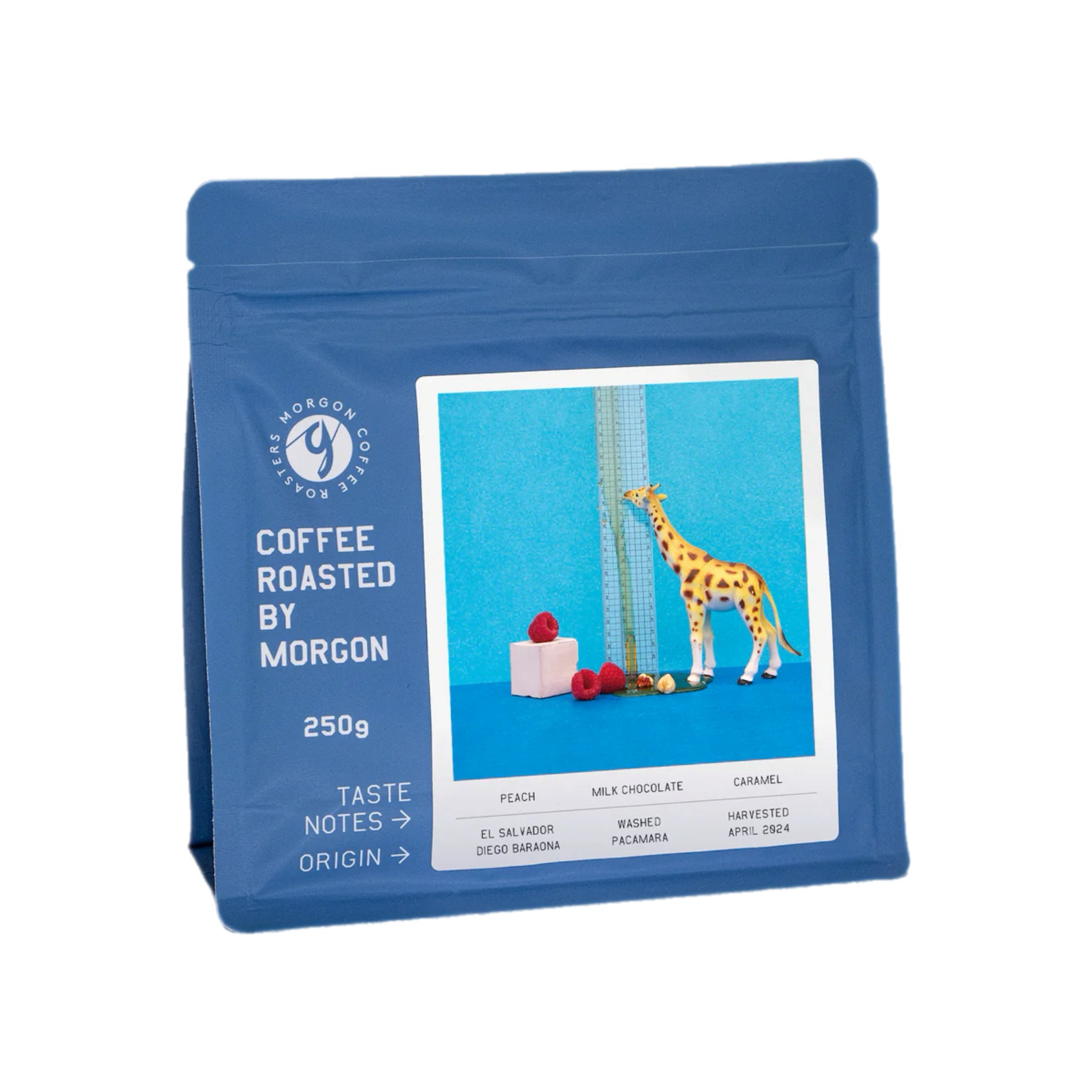 Diego Baraona Washed