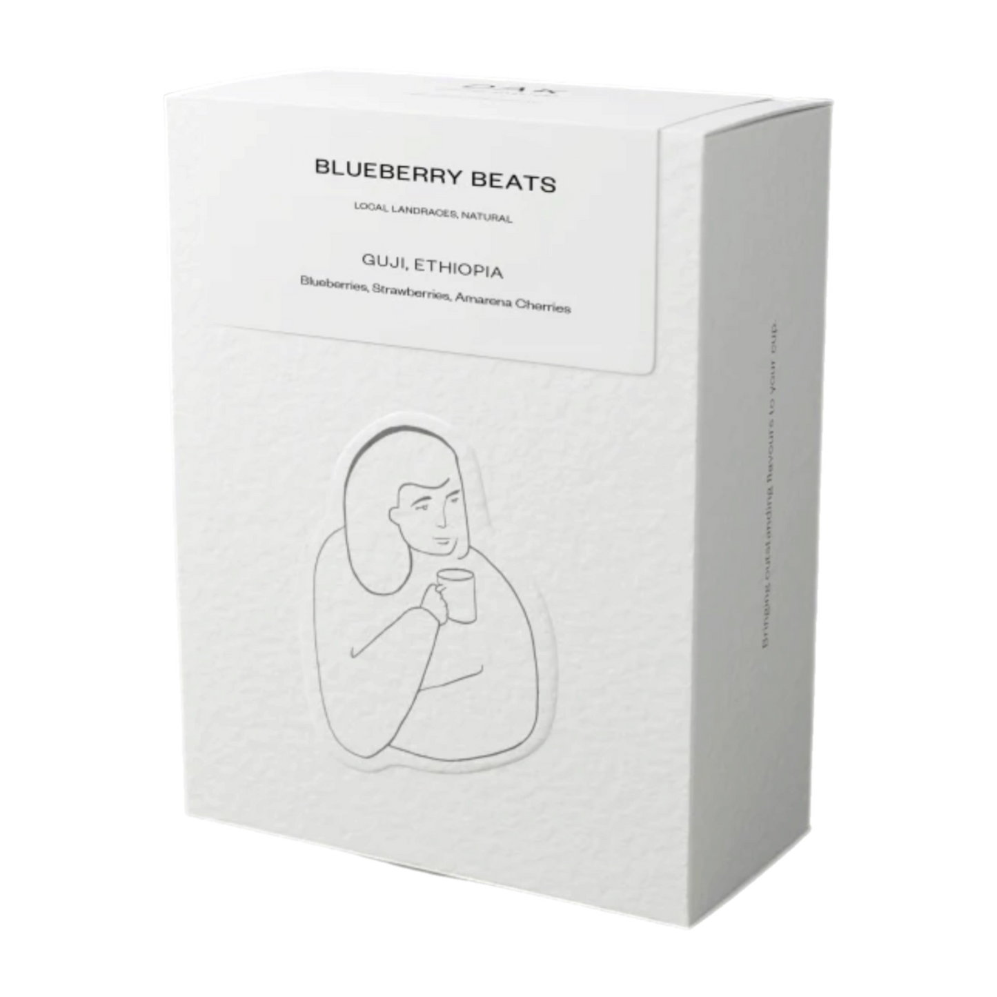 Blueberry Beats