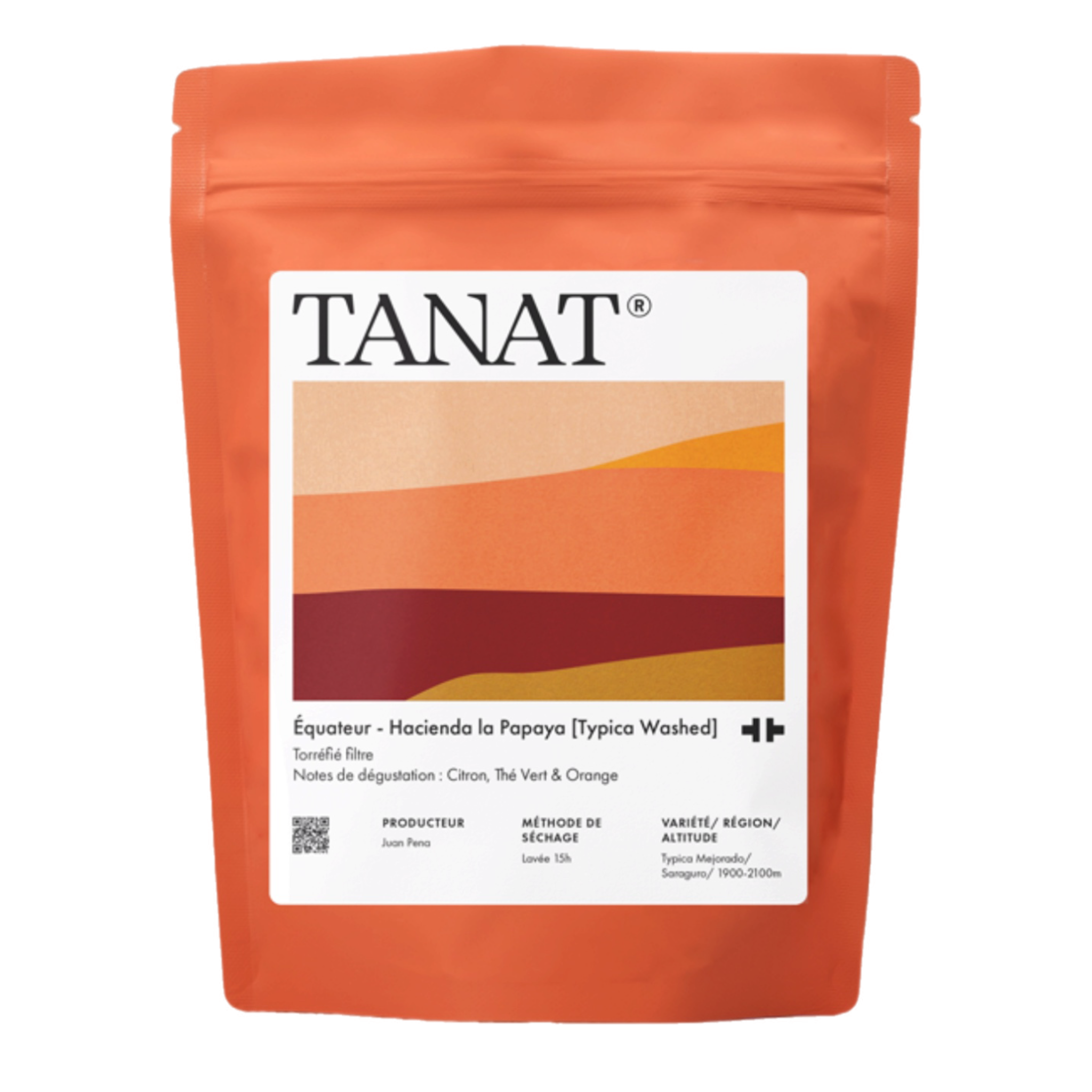Hacienda la Papaya [Typica Washed]