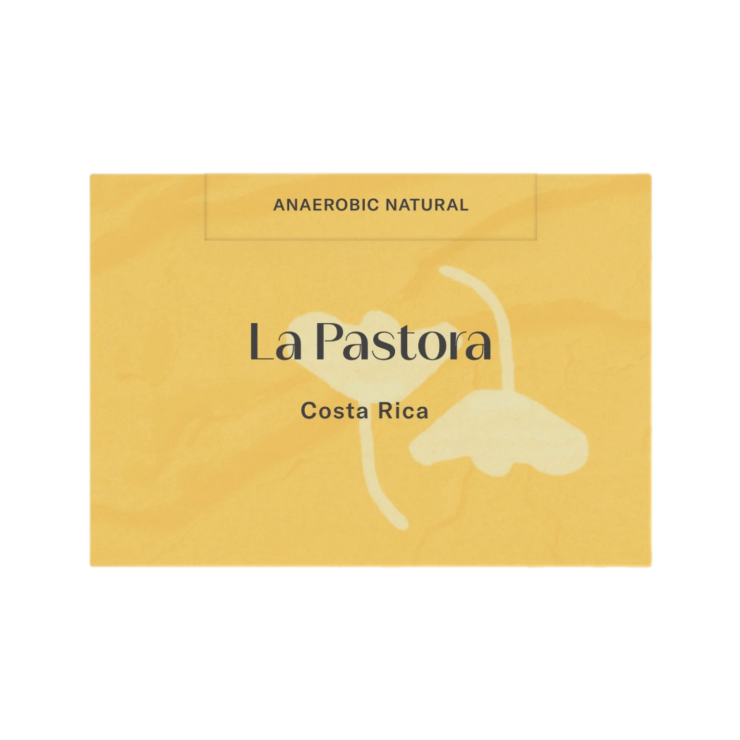 La Pastora