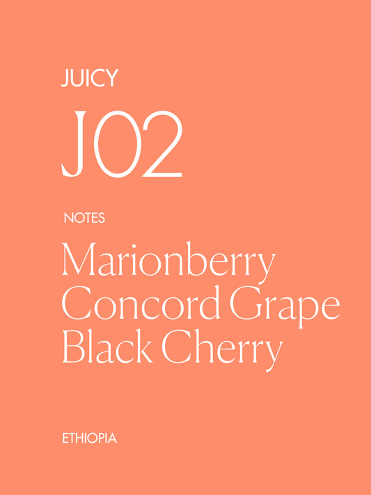 J02